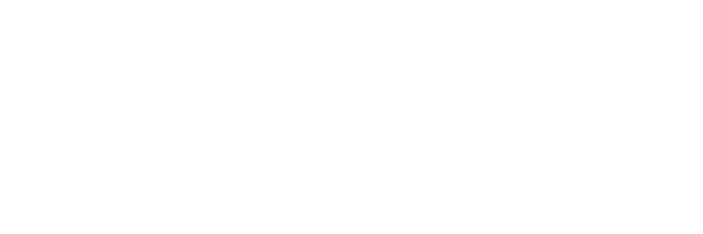 BlazeLink